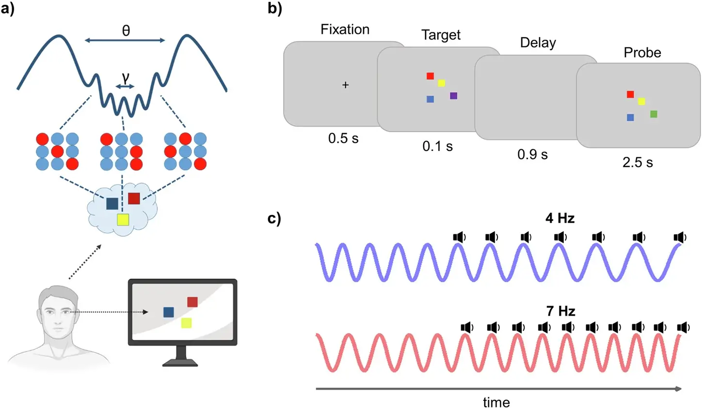 Revolution in Memory Enhancement: How Rhythm is Changing the Way We Think