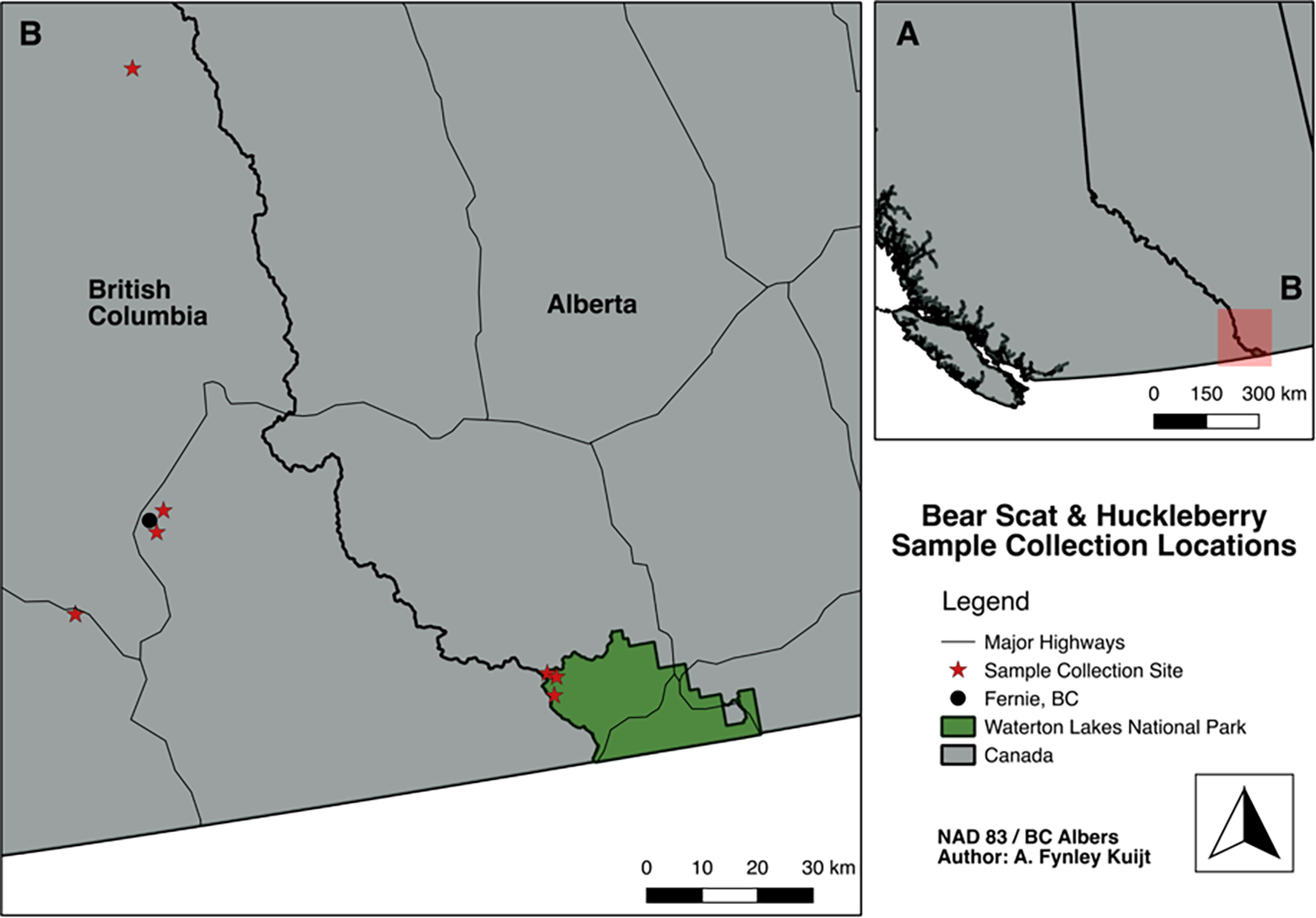 Bears Boost Huckleberry Germination by Over 80-Fold Through Seed Dispersal