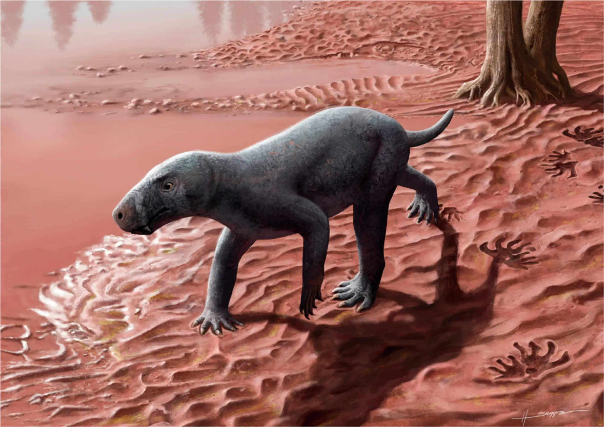 Oldest Gorgonopsian Fossil Found in Mallorca Sheds Light on Therapsid Origins