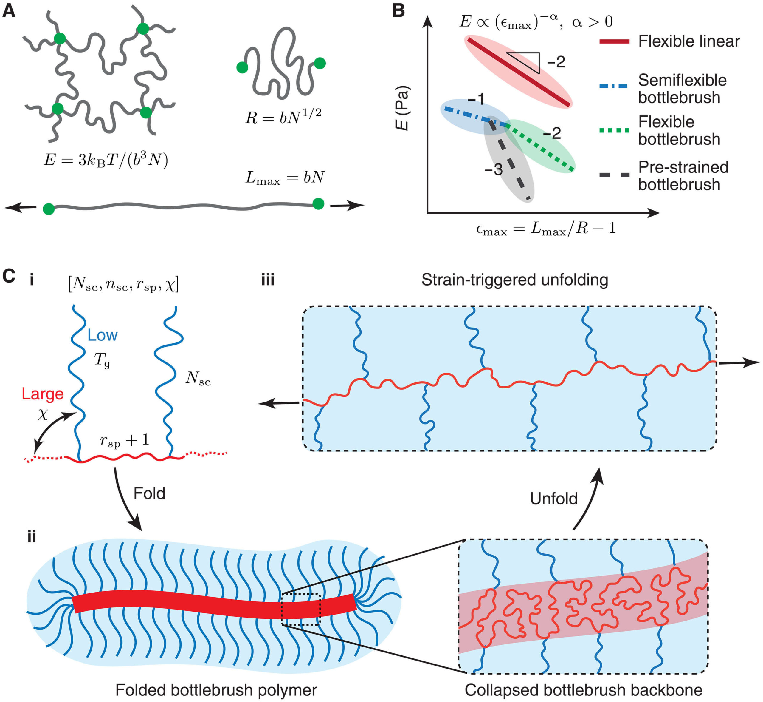 Scientists Craft Unprecedentedly Stretchable and Strong Polymers