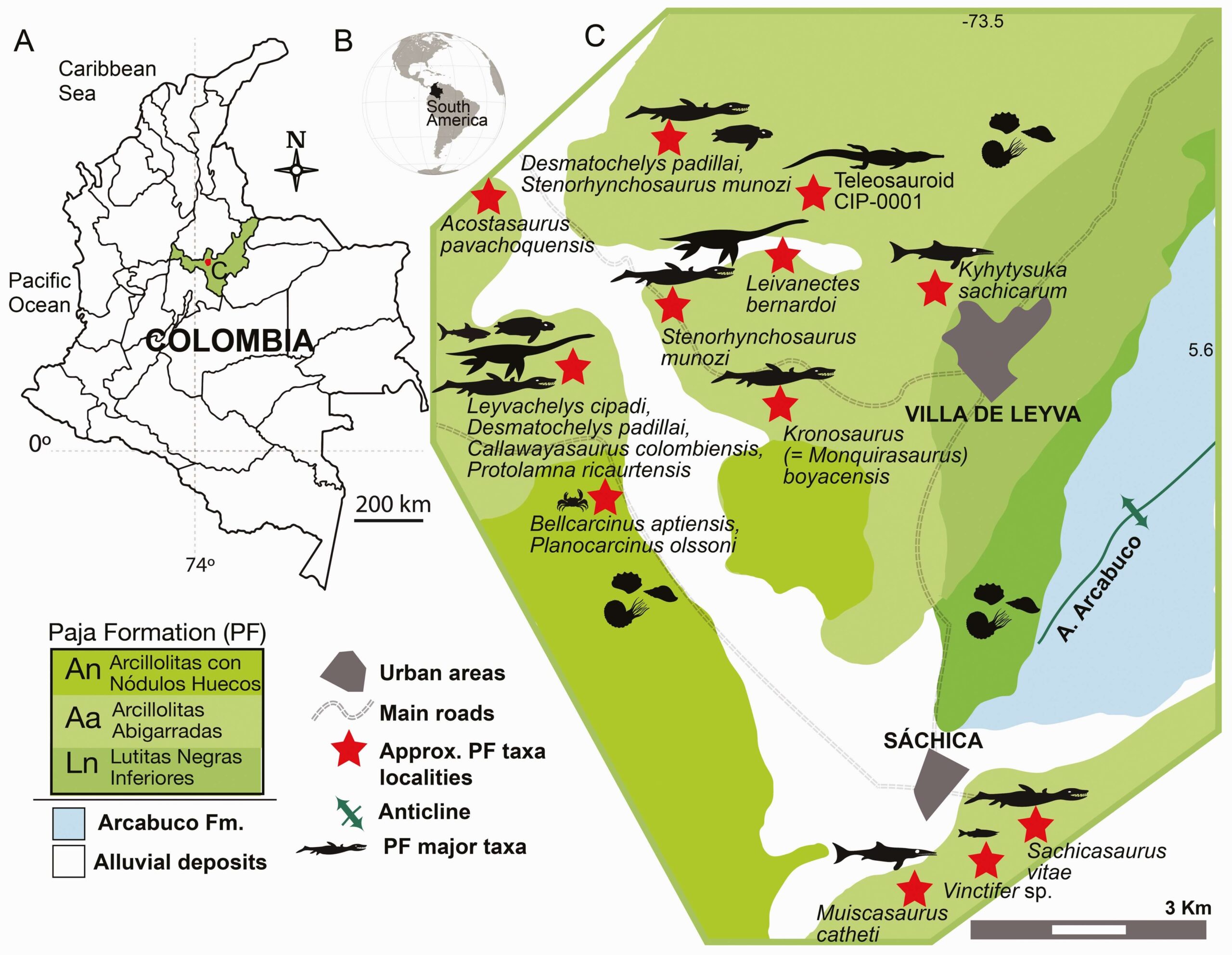 Study Suggests Ancient Seas Hosted Hyper-Apex Predators